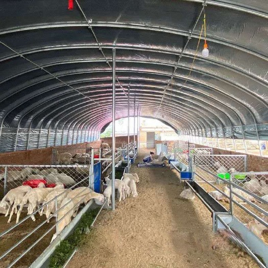 沭阳县 养殖大棚全套养鸡鸭鹅大棚骨架养殖大棚钢管牛羊棚蔬菜温室大棚