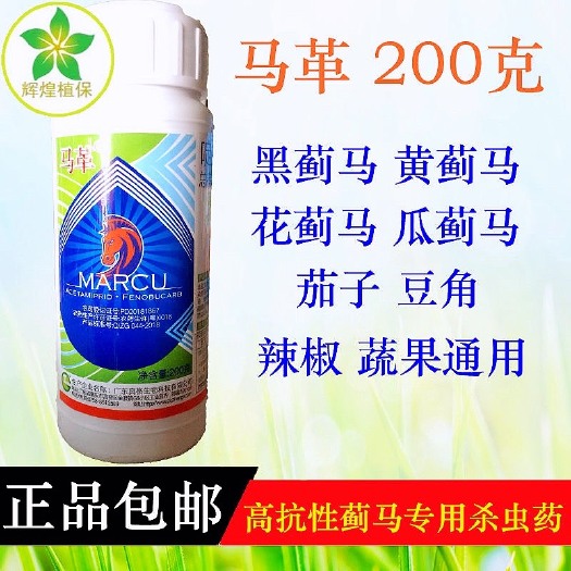 广州 真格马革啶虫脒·仲丁威甘蓝蚜虫毛瓜茄子辣椒豆角蓟马杀虫剂