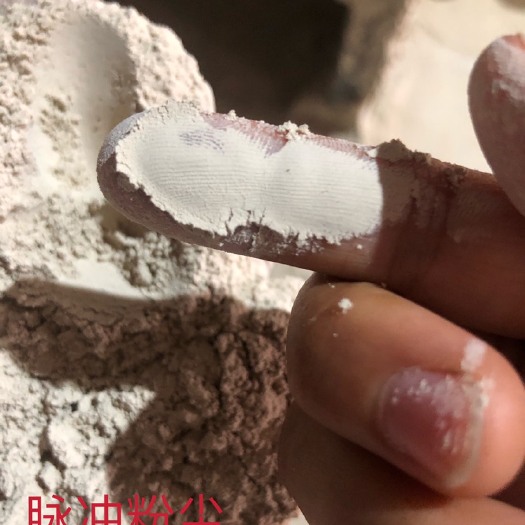 富锦市稻壳粉  稻壳脉冲灰粉尘