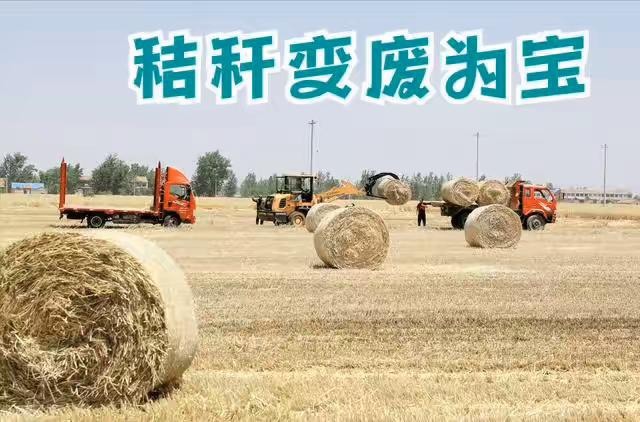 宁晋县小麦秸秆 农村自有地，合作共赢