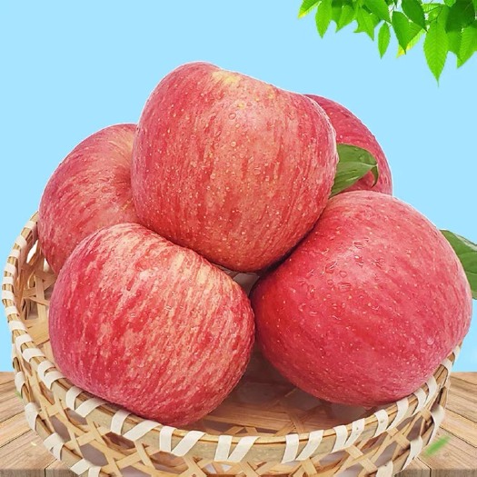 南宁山东烟台红富士苹果水果10斤装当季整箱礼盒新鲜栖霞冰糖心苹果