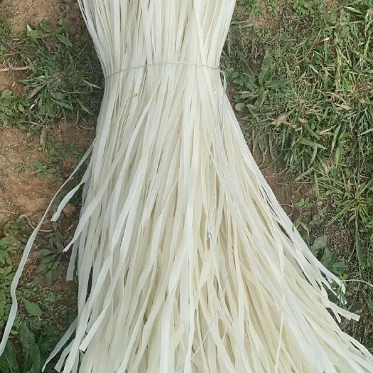 凌源市土豆粉  东北正宗青白色长杆粉条 各种规格可以定制颜色 长度 粗细