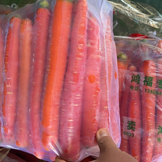 大荔县红皮胡萝卜  陕西渭南大荔秤杆红罗卜