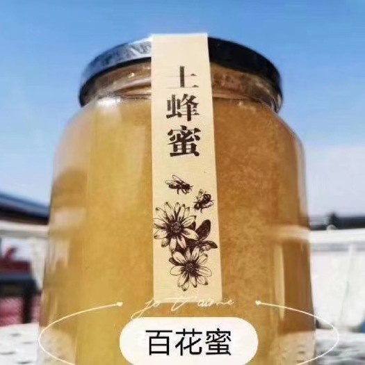 盂县土蜂蜜  中蜂蜜 正宗深山山花百花蜜 蜂场直销 假一赔万