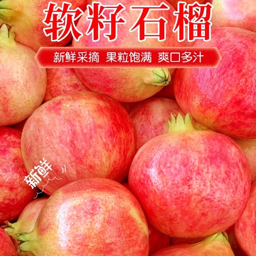 会理市大凉山突尼斯软籽石榴，爆款，爆款，行走中的雅诗兰黛