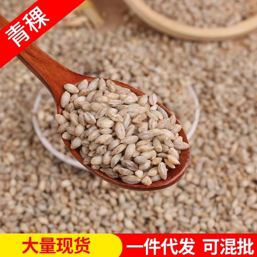 临沂批发新青稞米 生青稞米五谷杂粮 青稞仁煮粥粗粮 青稞酒原料