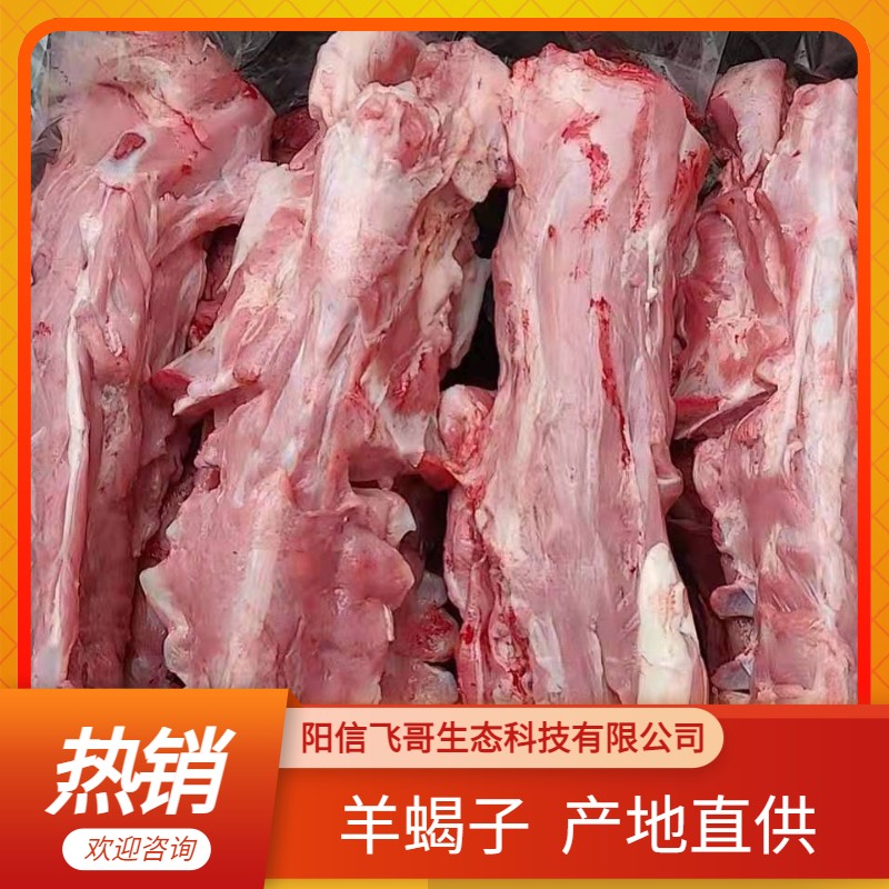 多肉羊蝎子，一手货源，欢迎选购