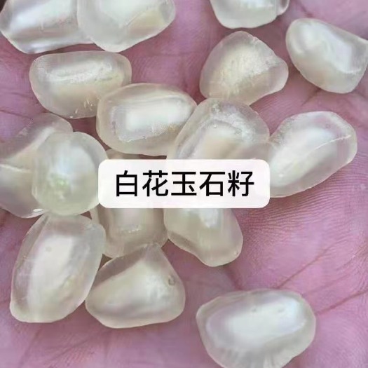 怀远县怀远县，始建于元代至元二十八年，素有“淮上明珠”、“石榴之乡