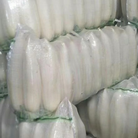凌源市 产地直发，全国发货，物美价廉，精品白萝卜