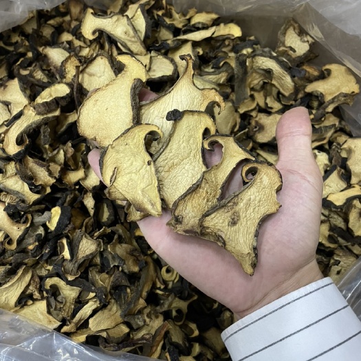 修文县黑牛肝菌干品，大量供应。