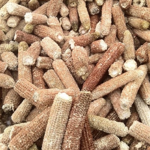 赫章县谷物饲料 出￼售玉米芯量大从优