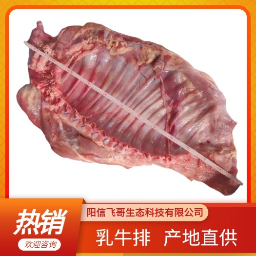 厂家直销精品乳牛排，一手货源，欢迎选购。