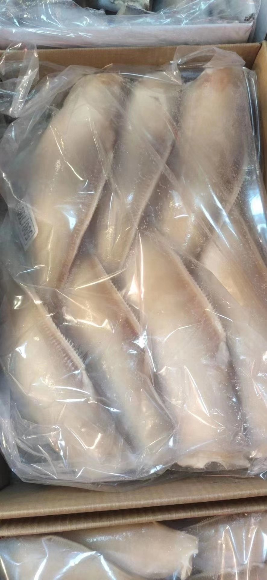 新鮮冷品耗兒魚玻璃魚馬面魚無頭魚扒皮魚