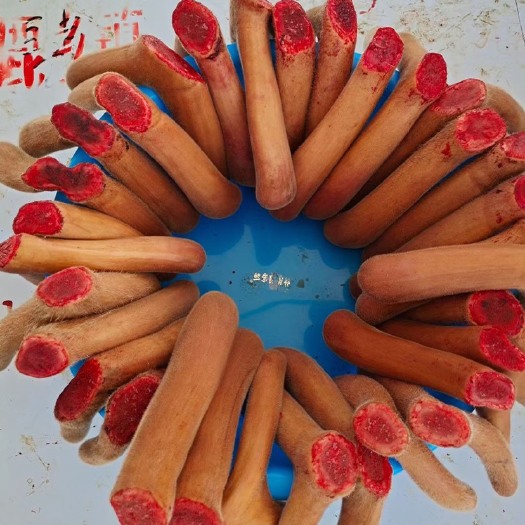 长春鲜鹿茸 双阳鹿乡 鹿乡直供 一等二杠整支鹿茸 可切镰刀切片