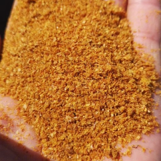 石家庄厂家直销玉米酒糟DDGS高脂肪，高蛋白