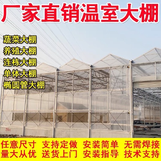 沭阳县厂家直销单体温室大棚蔬菜大棚连体连栋养殖大棚