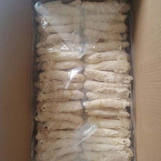 兴义市红托竹荪  新鲜竹荪 贵州竹荪 洪拖竹荪  竹荪长裙  竹荪杆 产地直销
