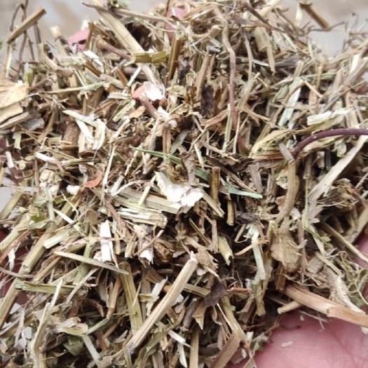 兴城市出售大量花生秧