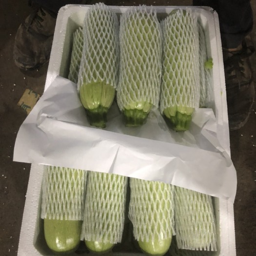 青州市精品绿皮西葫芦