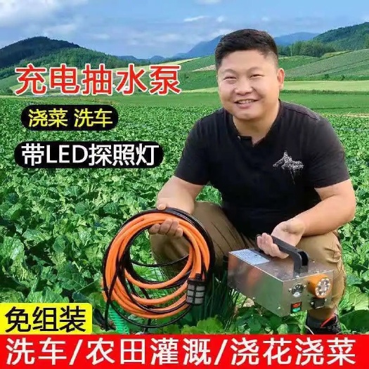海盐县增压泵  12V充电抽水泵农用灌溉电动抽水机户外浇菜水泵高压