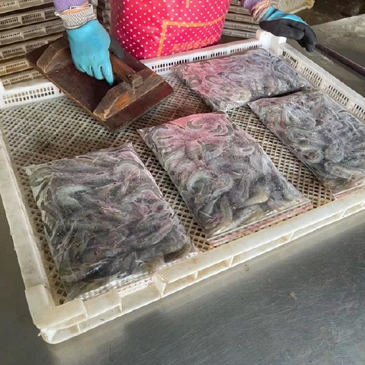 连云港南美白对虾  连云港对虾