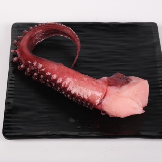 成都章鱼  大足