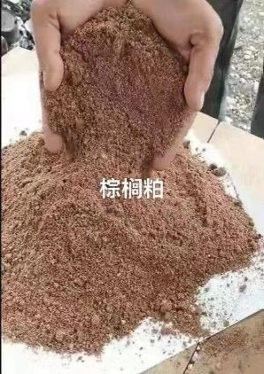 正定县 棕榈粕