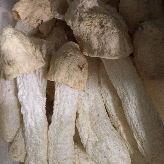 古田县竹荪球～更嫩更好吃