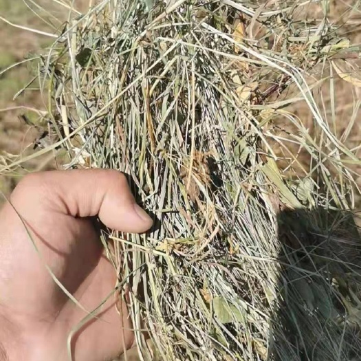牙克石市干草 优质山坡草