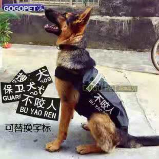宿州昆明犬！大型犬种，幼犬！