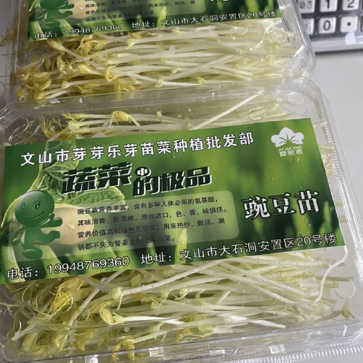文山市豌豆苗，空心菜苗