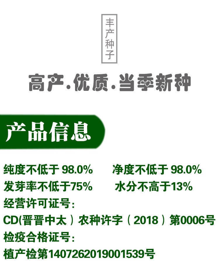 吨梁矮杆高粱种  矮杆酒糯高粱王铁杆1米红高粱种子 矮杆