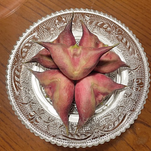 湖州菱角  红菱，个大饱满，甜糯