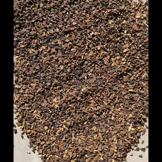 长沙茼蒿种子 茼蒿籽
