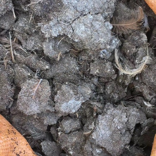兴业县纯鸡粪 有机肥 直销