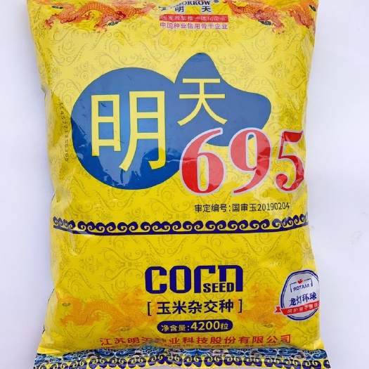 郑州明天695 大田种植玉米 48小时发货