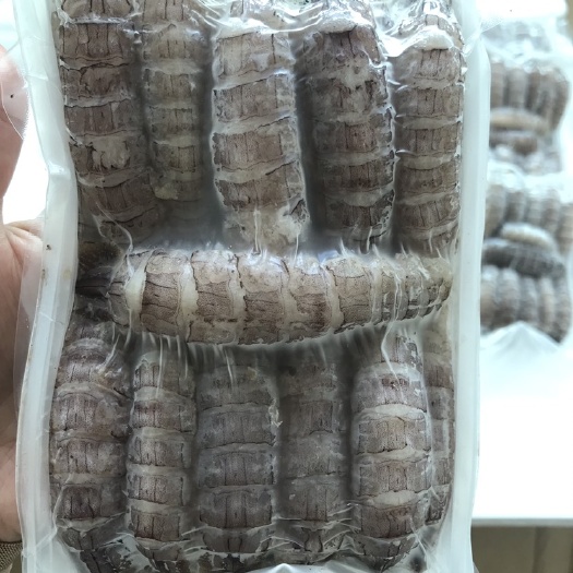 乳山市原浆皮皮虾肉，厂家一手货源