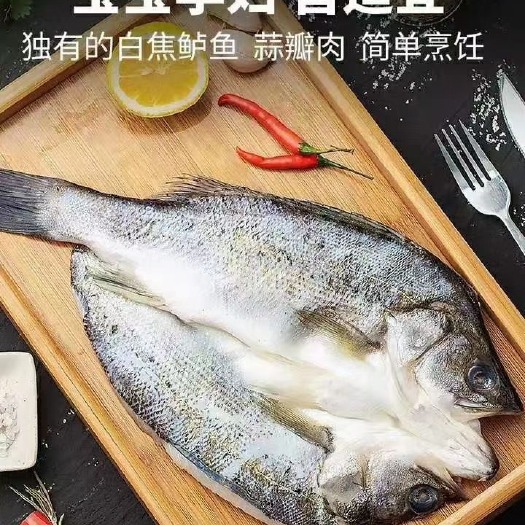 珠海海鲈鱼：活鱼宰杀