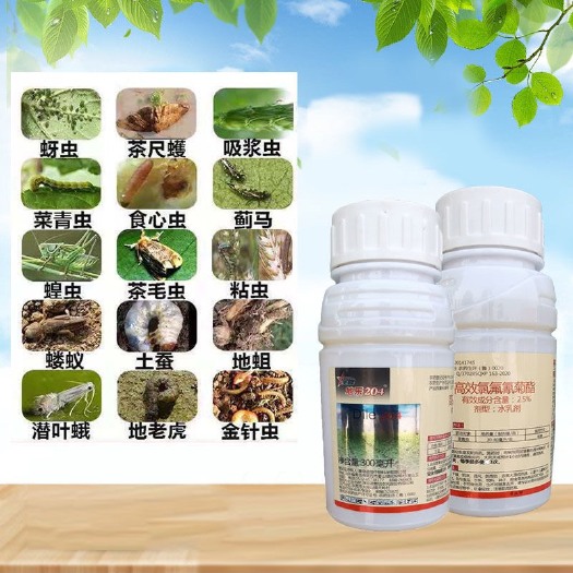 普宁市高效氯氟氰菊酯  诺普信星牌地乐204氯氟氰菊酯2.5%功夫
