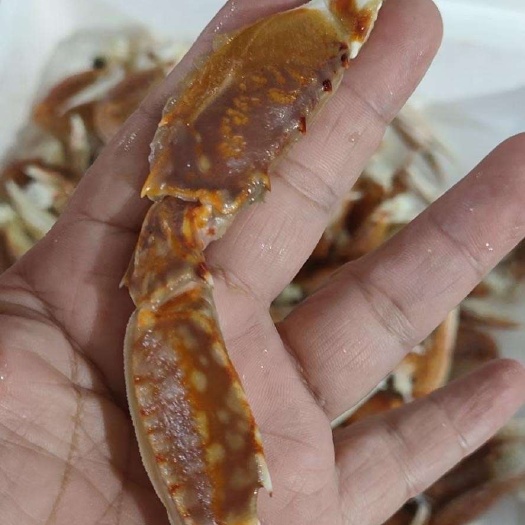 拥剑梭子蟹  扁蟹钳中号，大号。肉质饱满。