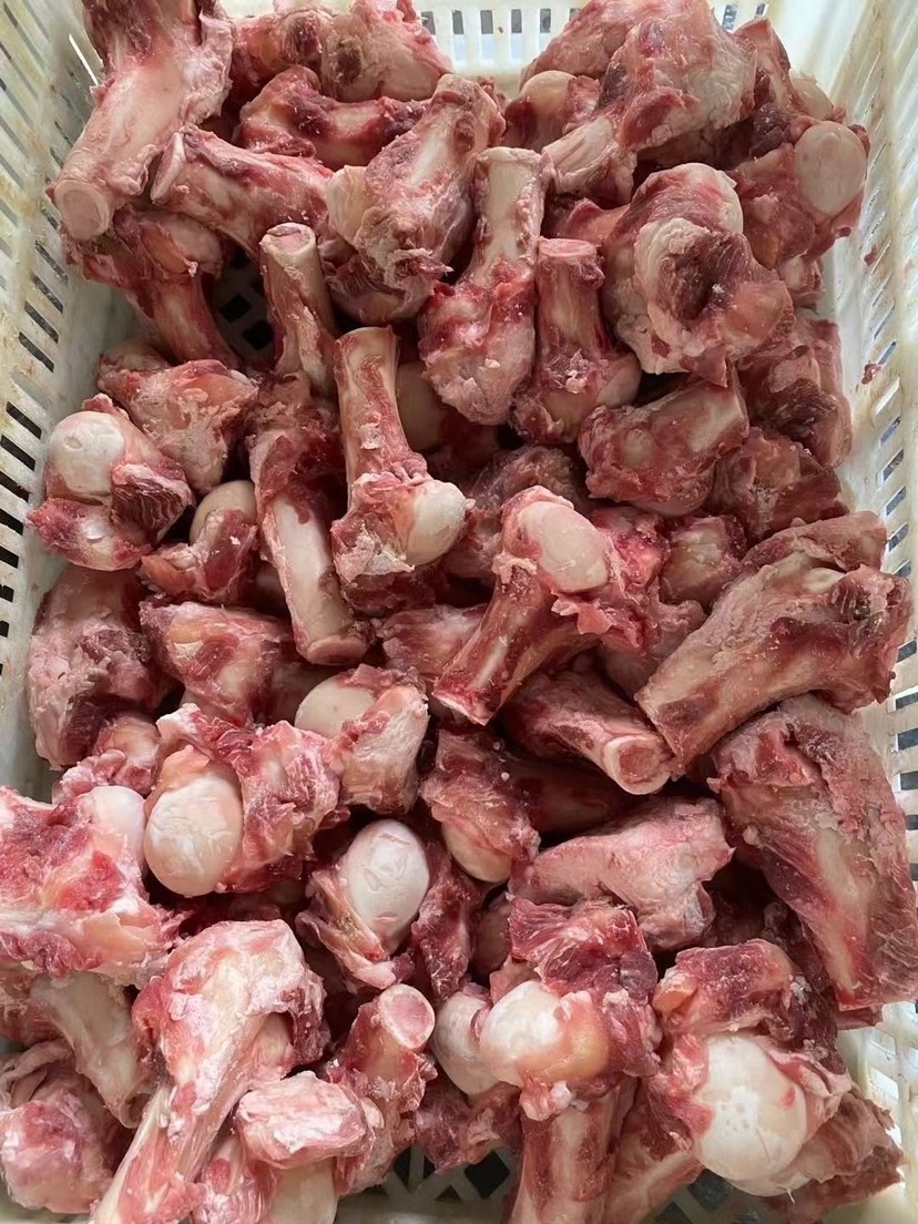 河间市羊骨  羔羊半截棒骨 吃肉吸骨髓 肉含量超高 品质看得见
