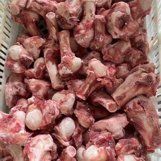 河间市羊骨  羔羊半截棒骨 吃肉吸骨髓 肉含量超高 品质看得见