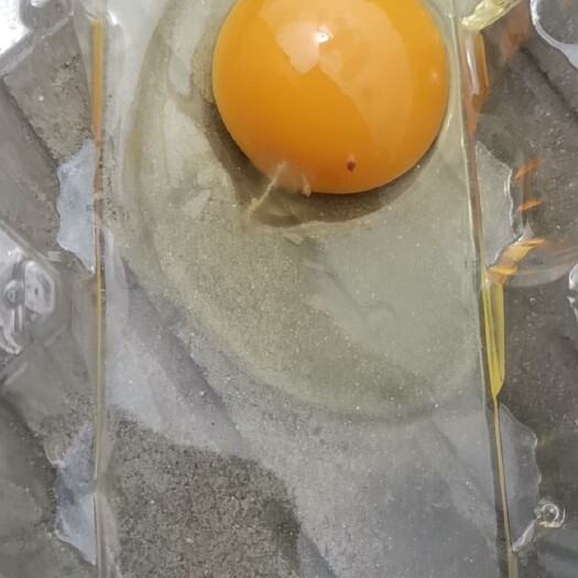 芜湖普通鸡蛋  30-45普粉鸡蛋 货源充足 长期稳定 新鲜可口