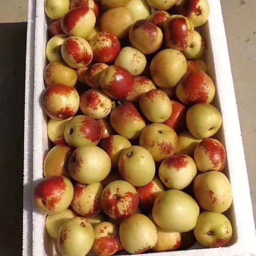 临猗县 精品冬枣
