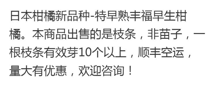 柑桔枝条 日本新品种柑橘早熟丰福早生蜜桔嫁接枝条(穗条)