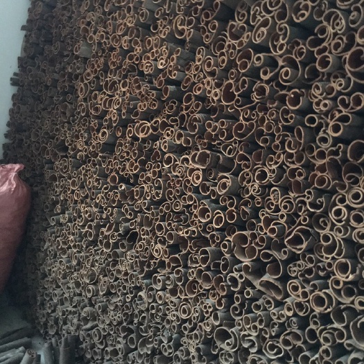 平南县普通桂皮  桂皮小通