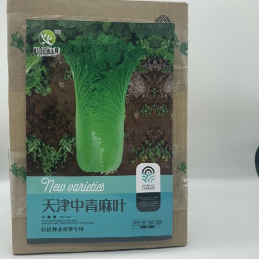 青麻叶白菜种子 天津中青麻叶种子 净含量10克 白菜种子 蔬菜基地专用