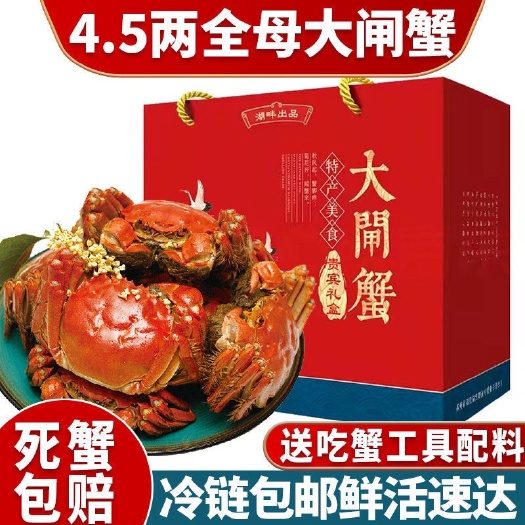 长沙螃蟹大闸蟹鲜活特大全母礼盒装生鲜冷链包邮2.0-4.5两阳澄