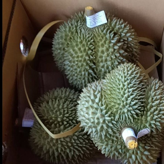凭祥市金枕榴莲，AB果都有，10月23发货，预定中，价格低，