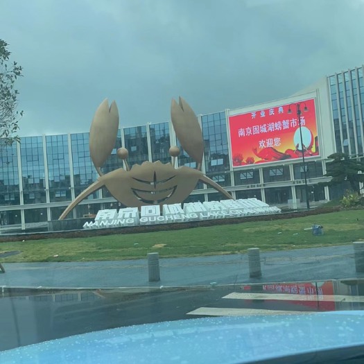 南京 固城湖大闸蟹